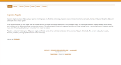 Desktop Screenshot of ficaphiladelphia.org
